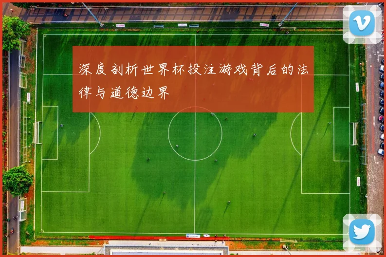 深度剖析世界杯投注游戏背后的法律与道德边界