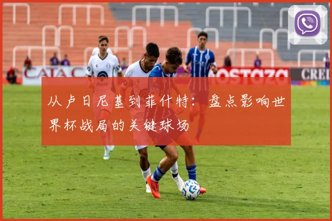从卢日尼基到菲什特：盘点影响世界杯战局的关键球场