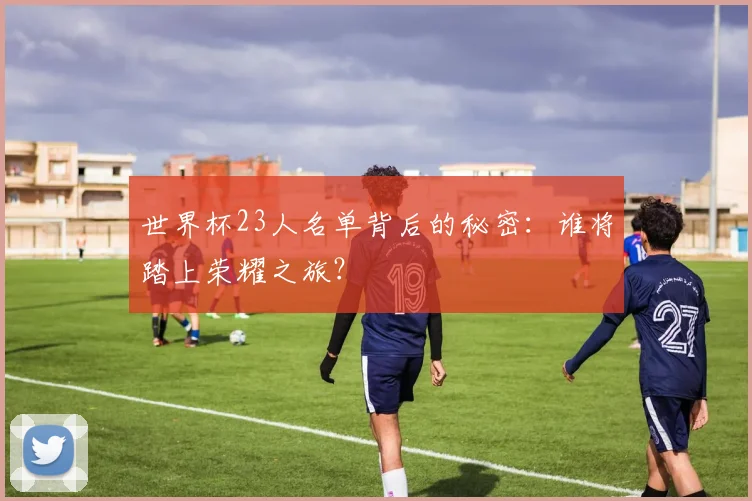 世界杯23人名单背后的秘密：谁将踏上荣耀之旅？